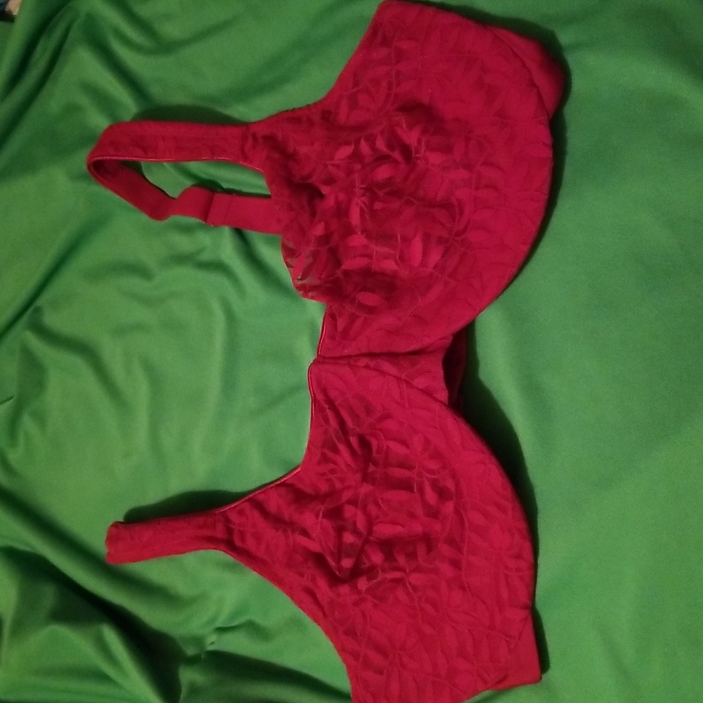 Beautiful wine colored lacy bra